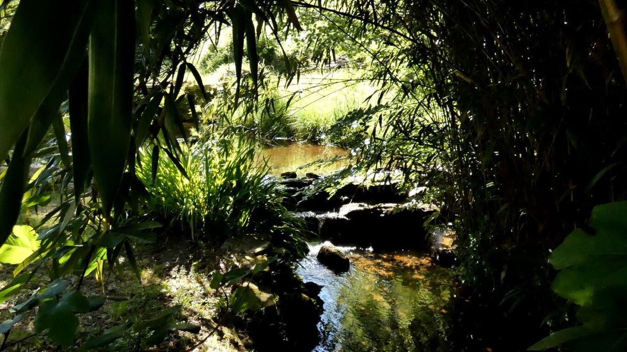 Photo of Others in Meslan