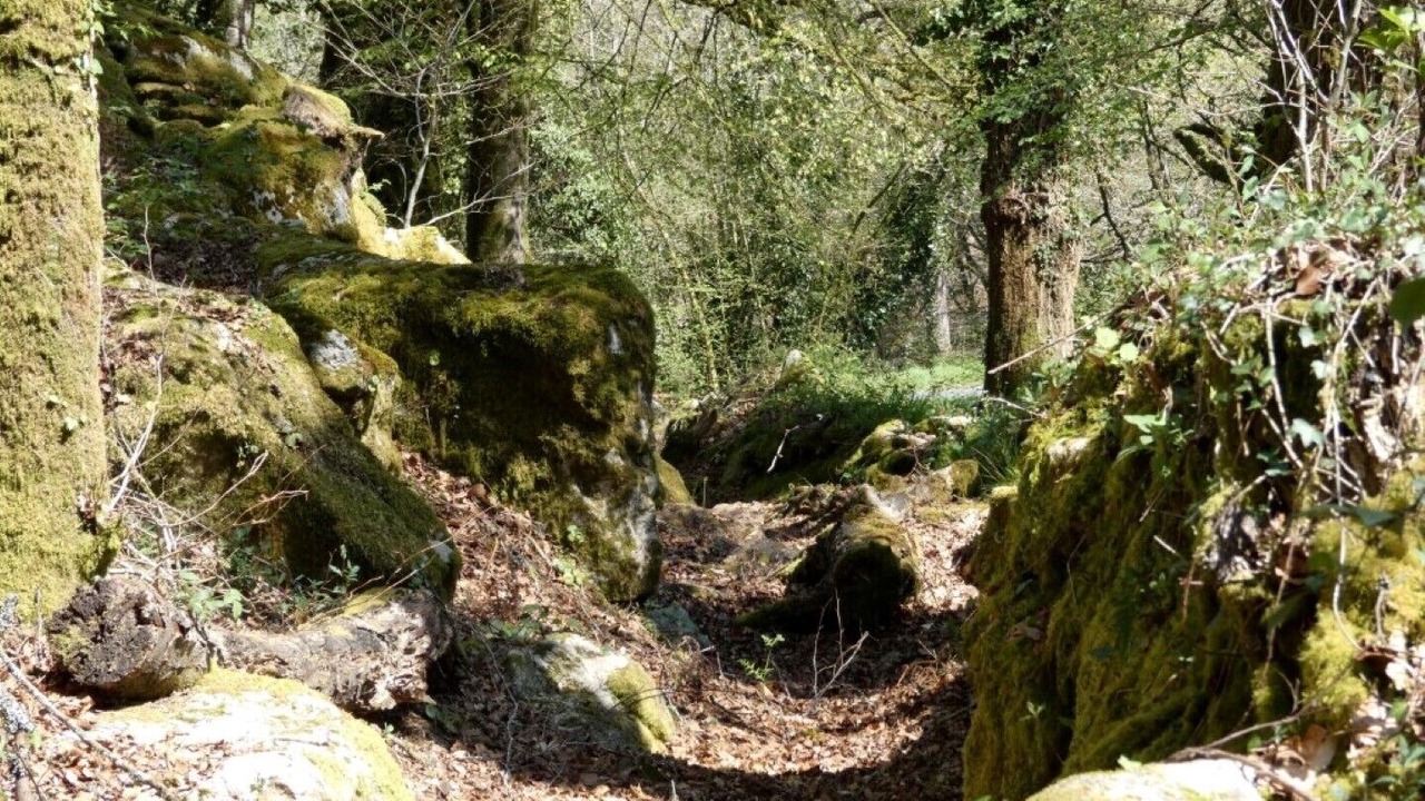 Photo of Outdoor in Meslan