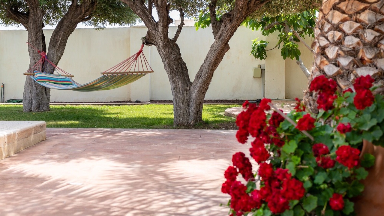 Photo of Outdoor in Mutxamel