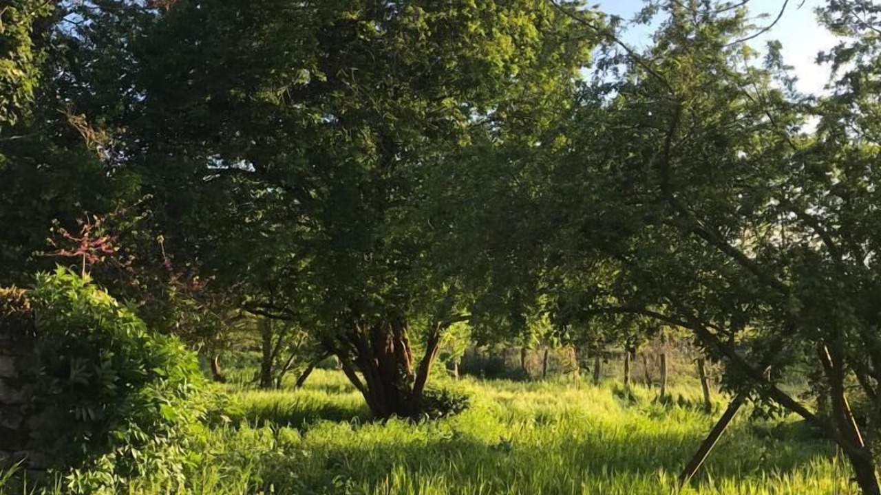 Photo of Outdoor in Saint-Maurice-des-Champs
