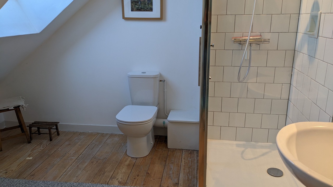 Photo of Bathroom in Saint-Maurice-des-Champs