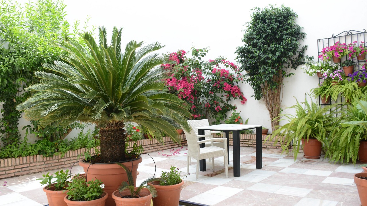 Photo of Outdoor in Santa Marina