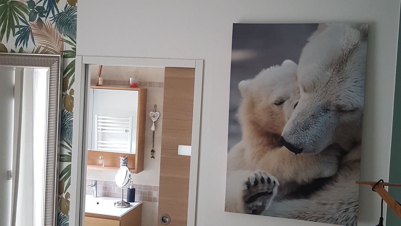 Photo of Bedroom in Belvezet