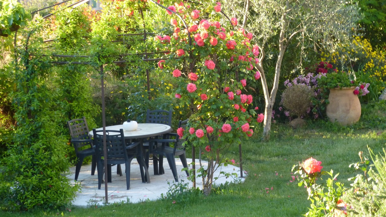 Photo of Outdoor in Carros