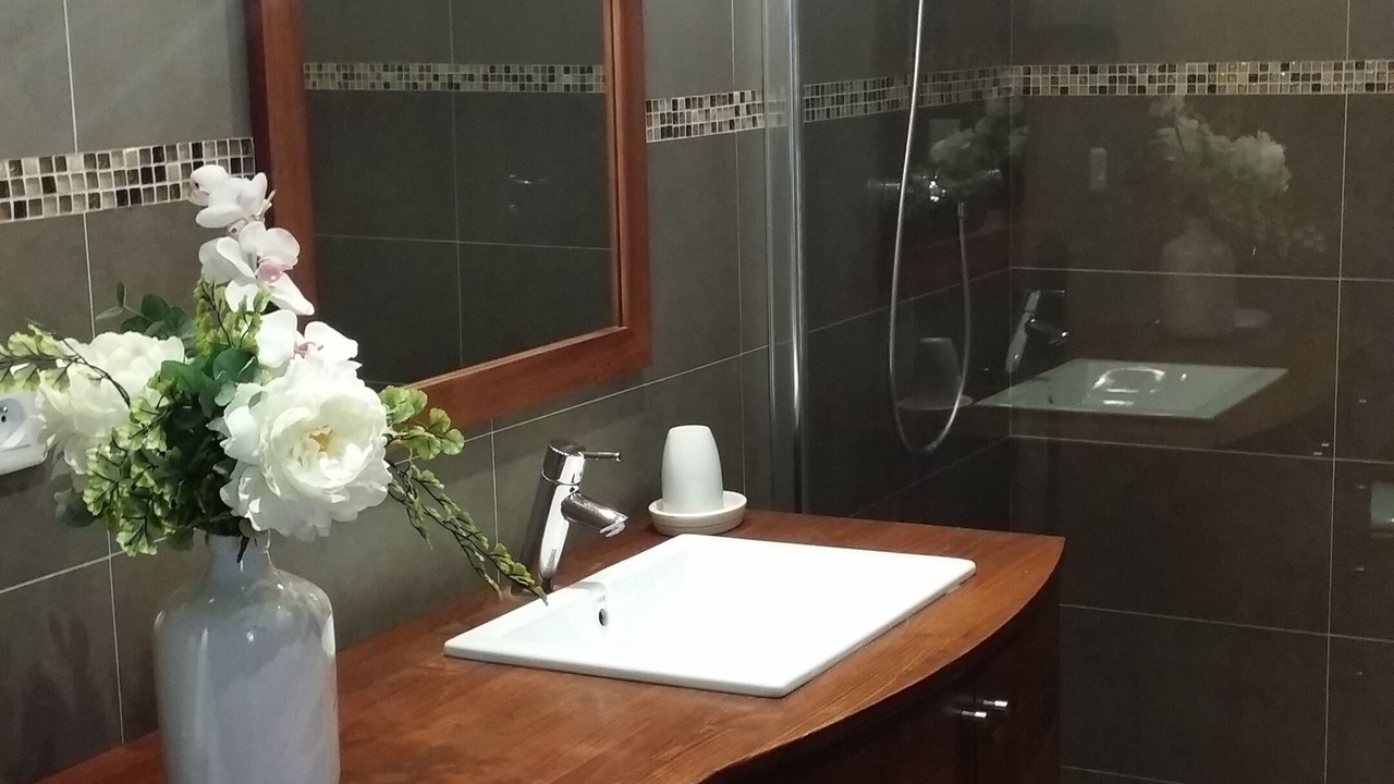 Photo of Bathroom in Carros