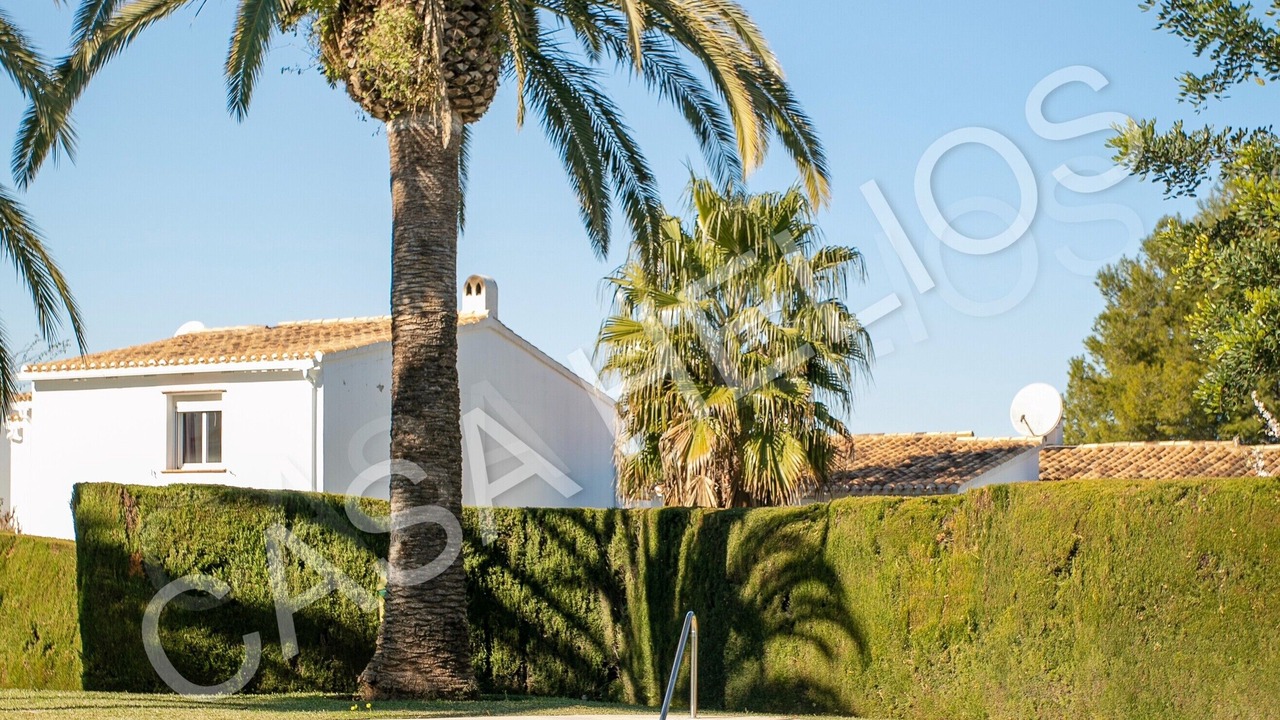 Photo of Outdoor in Pedreguer