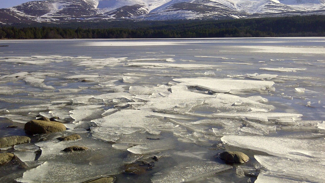 Photo of Others in Kingussie