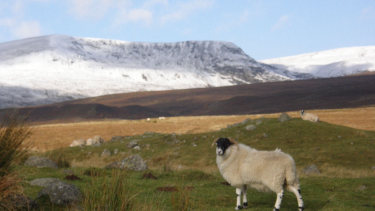 Photo of Outdoor in Kingussie