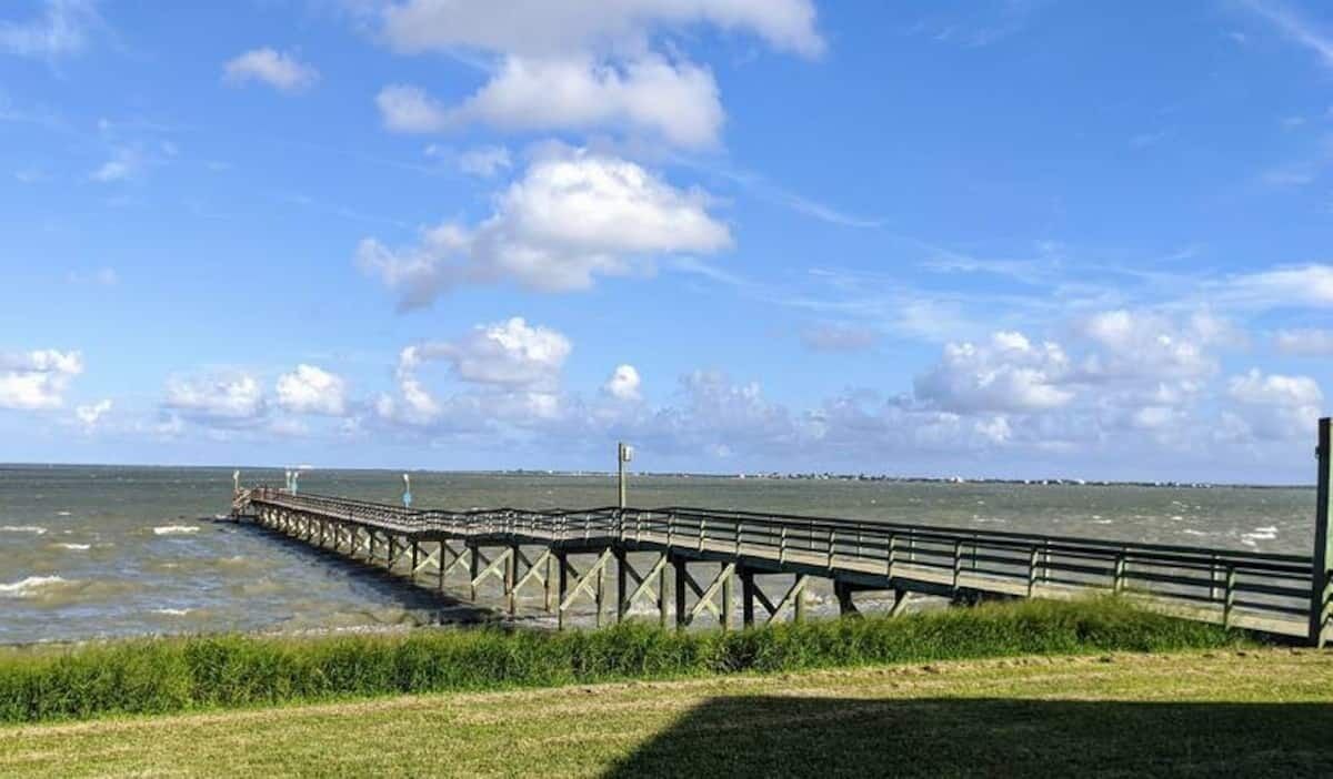 Photo of Others in Bayside