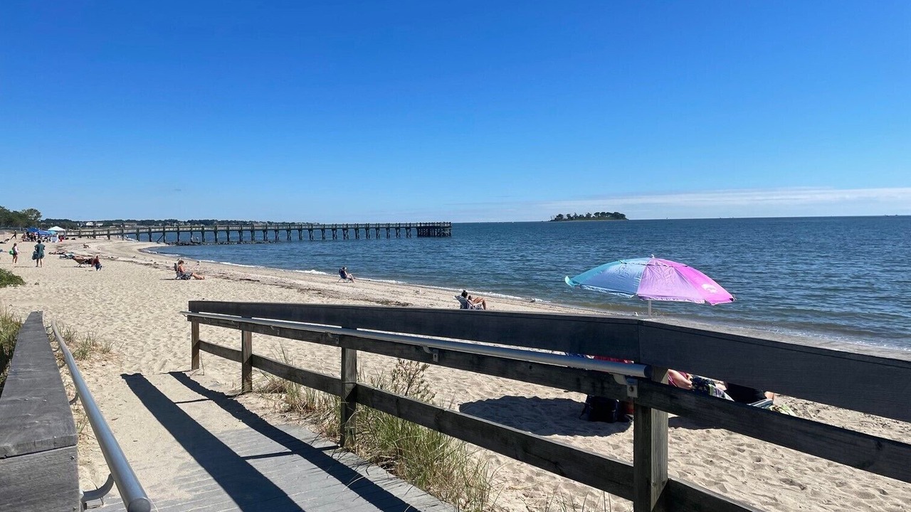 Photo of Others in Devon