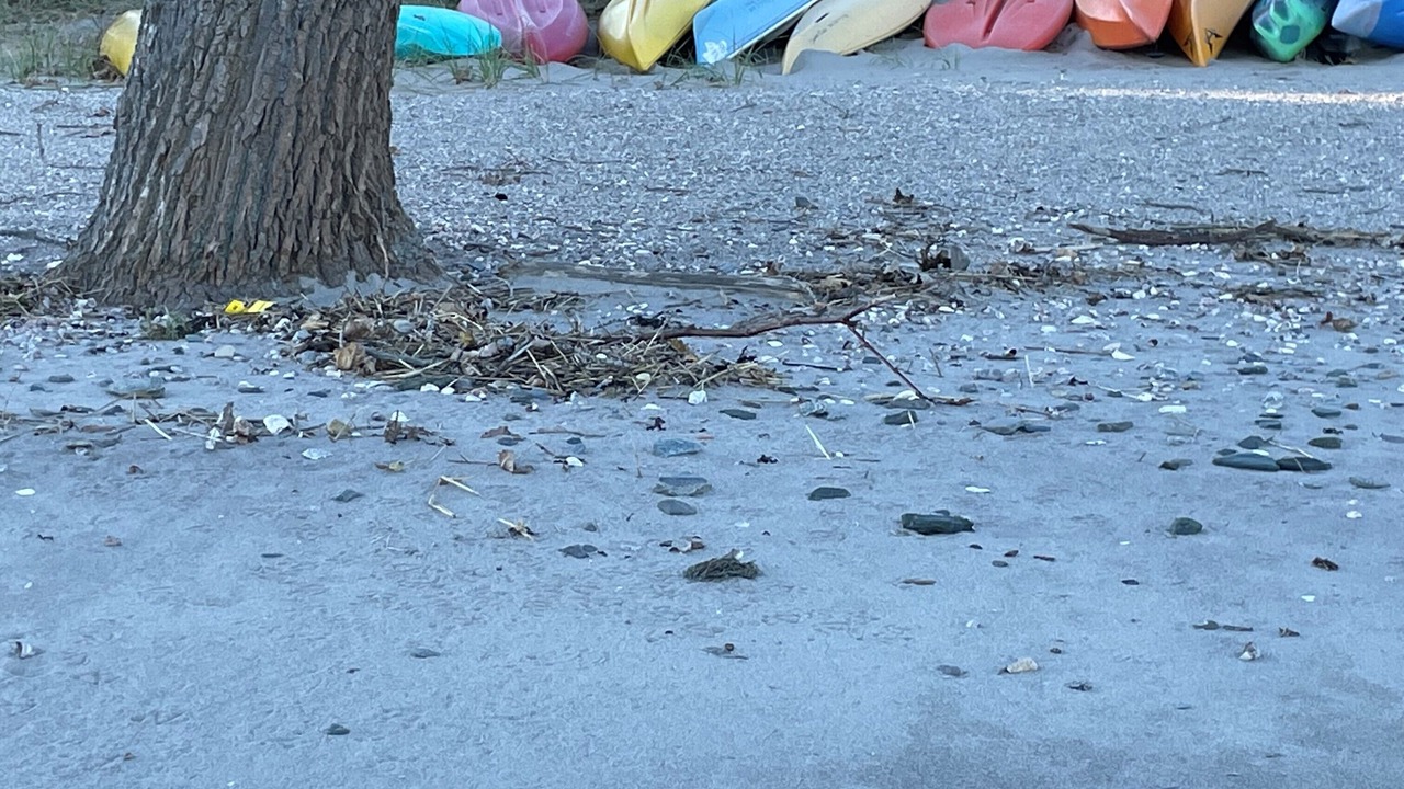 Photo of Others in Devon