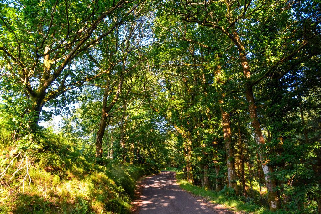Photo of Outdoor in Watchet