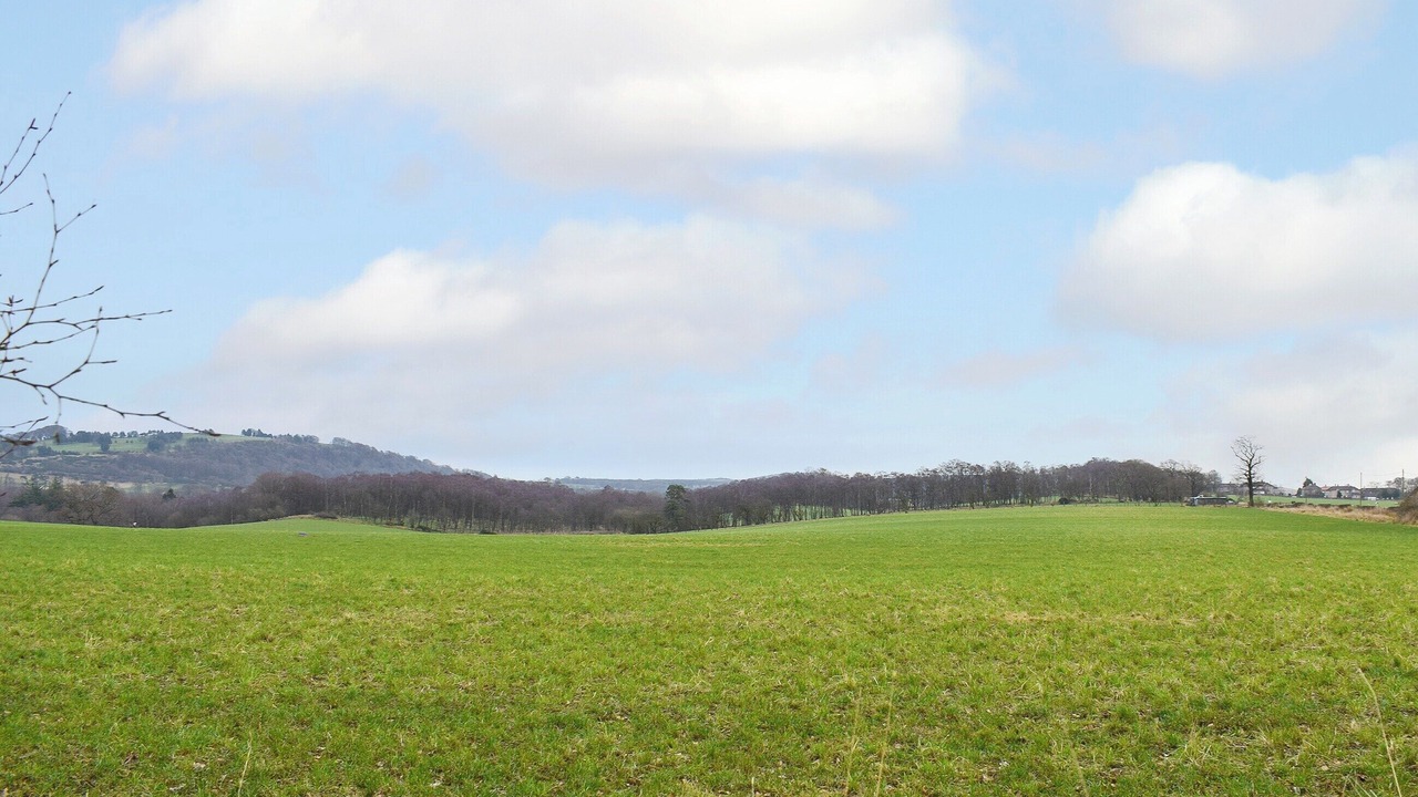 Photo of Others in Dunfermline