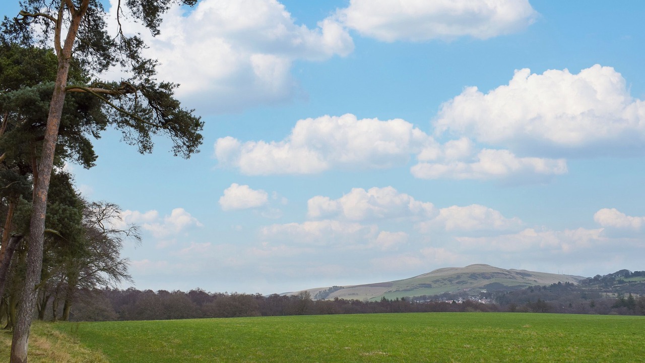 Photo of Others in Dunfermline