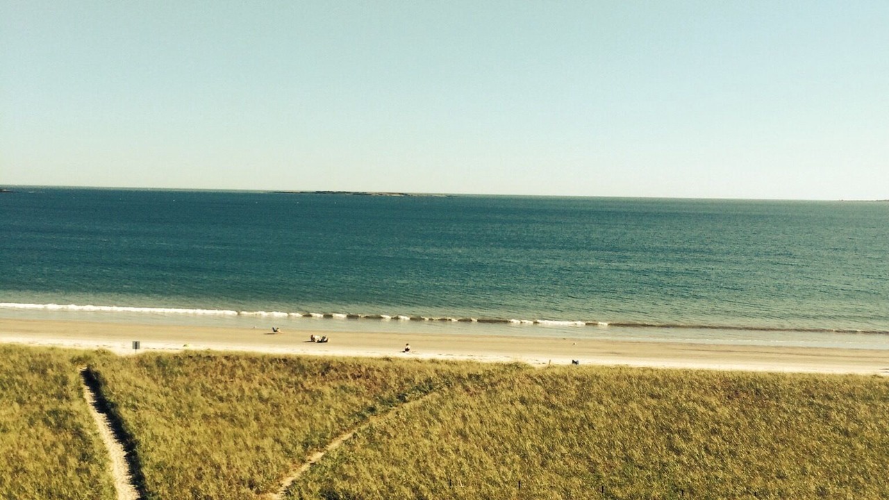 Photo of Others in Pine Point