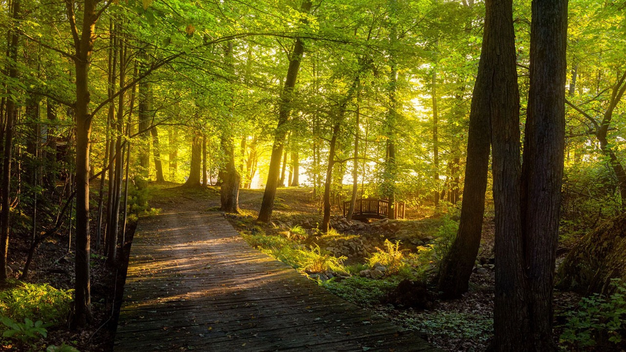 Photo of Outdoor in Frontenac