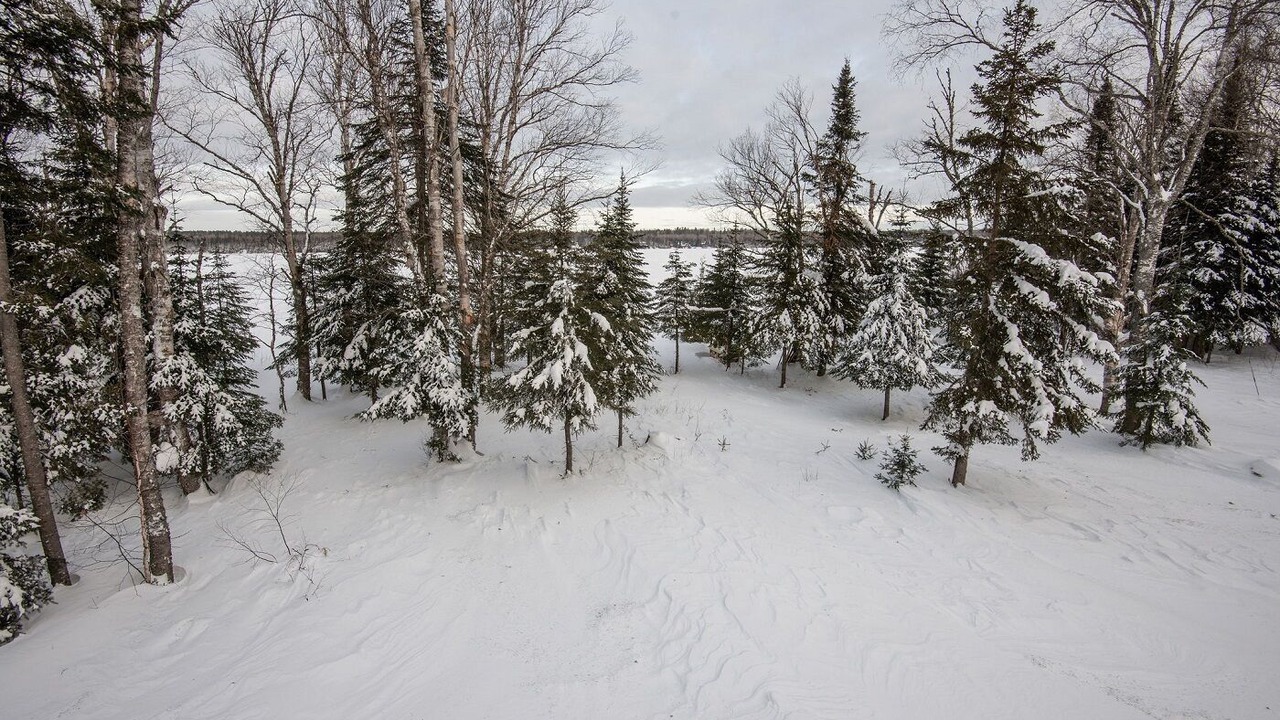 Photo of Others in Grand Marais
