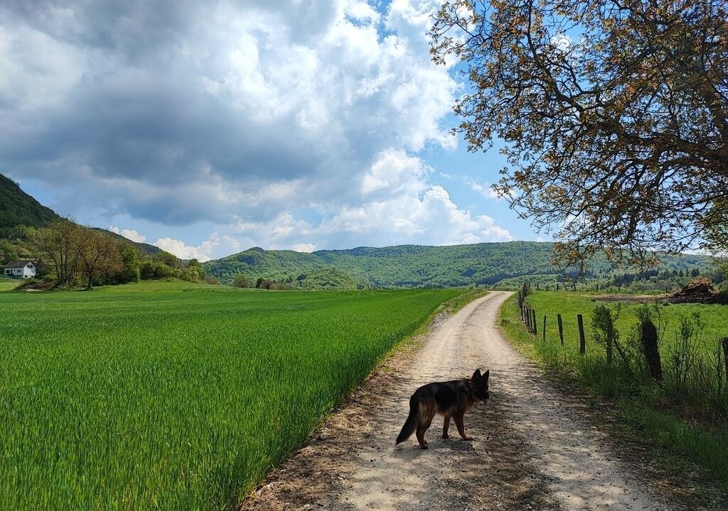 Photo of Others in Marchamp