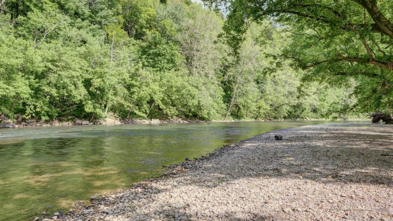 Photo of Others in Mendota