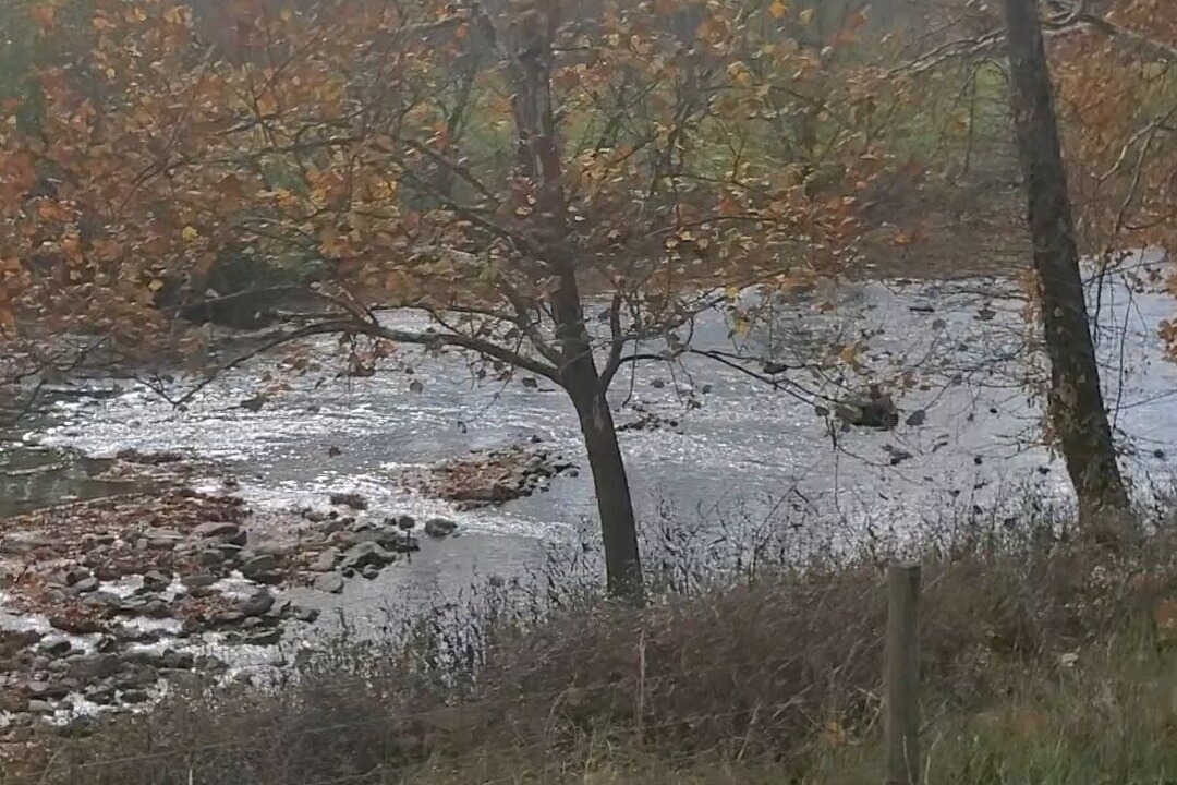 Photo of Outdoor in Mendota