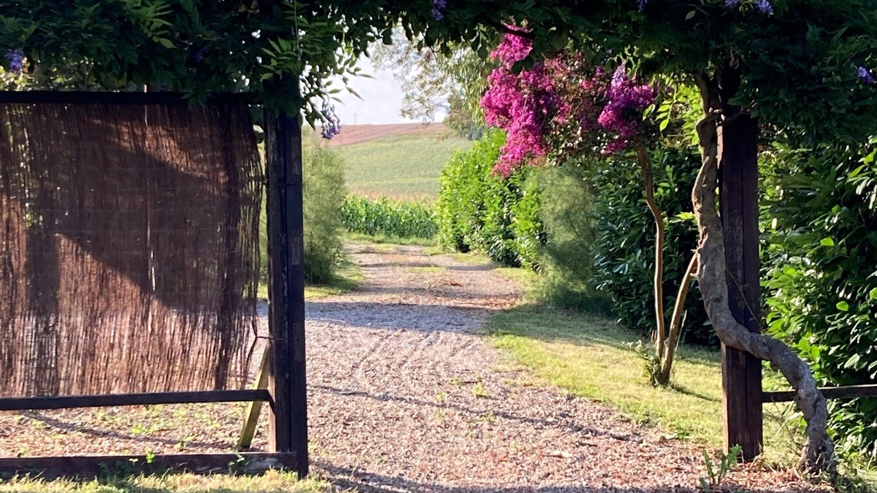 Photo of Outdoor in Puygaillard-de-Lomagne