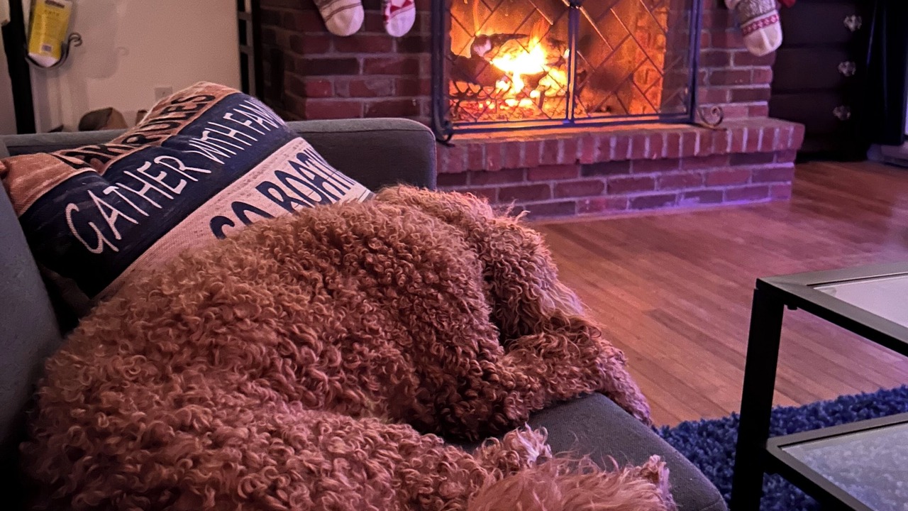 Photo of Others in Tafton