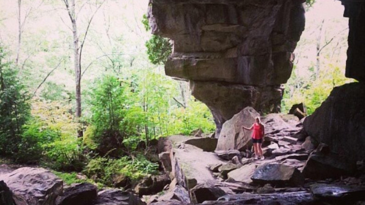 Photo of Outdoor in South Bruce Peninsula
