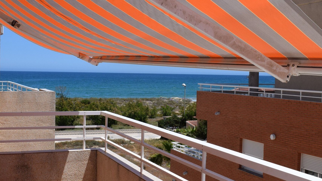 Photo of Outdoor in Oliva