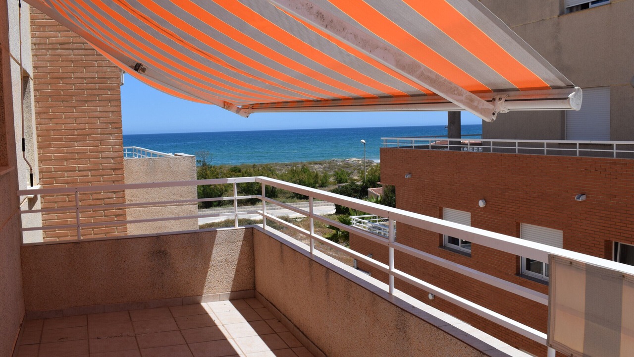 Photo of Outdoor in Oliva