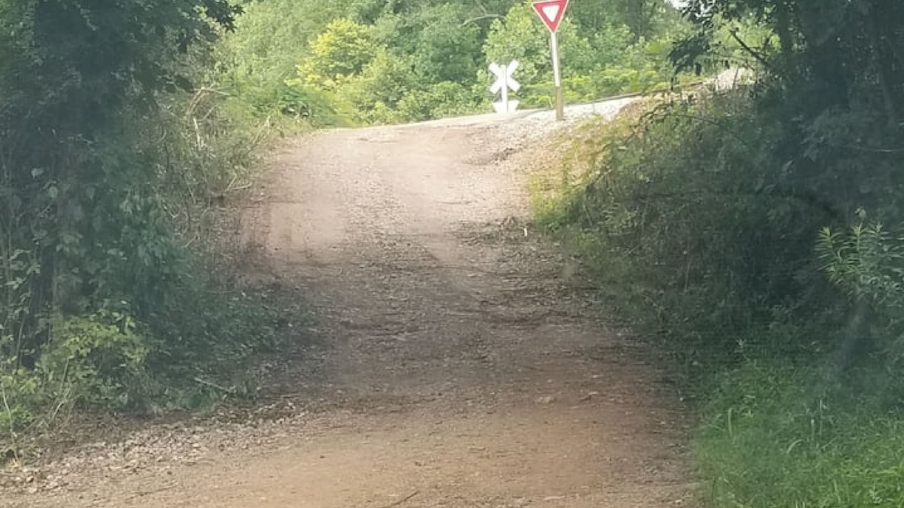 Photo of Outdoor in Newell