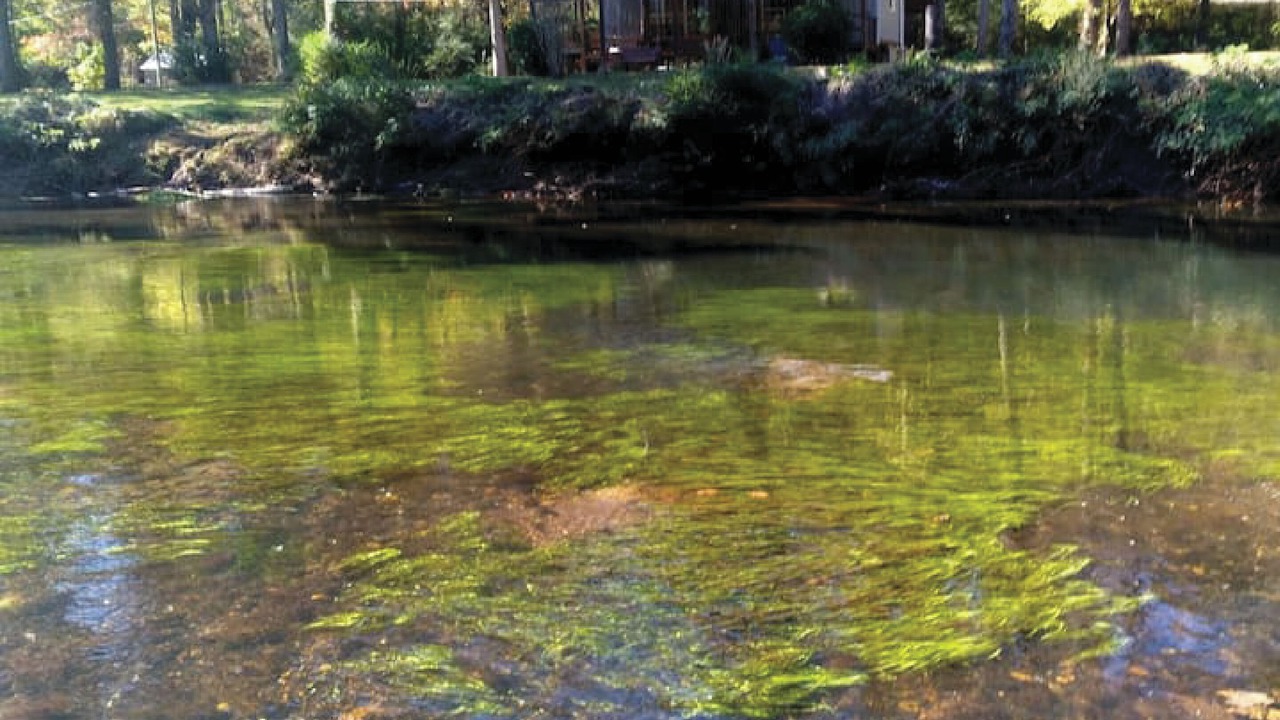 Photo of Outdoor in Newell