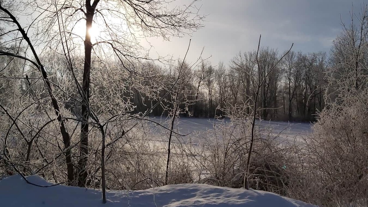 Photo of Others in Central Huron