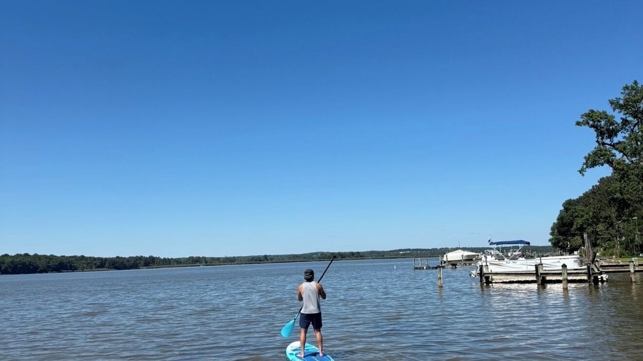 Photo of Others in Magnolia