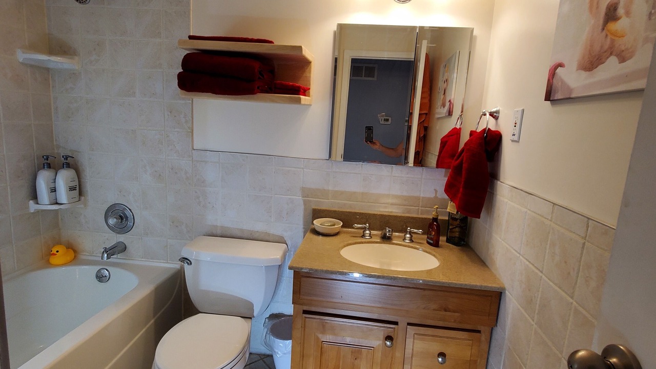 Photo of Bathroom in Tesson Ferry