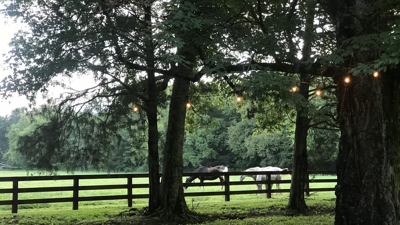 Photo of Outdoor in Belfast