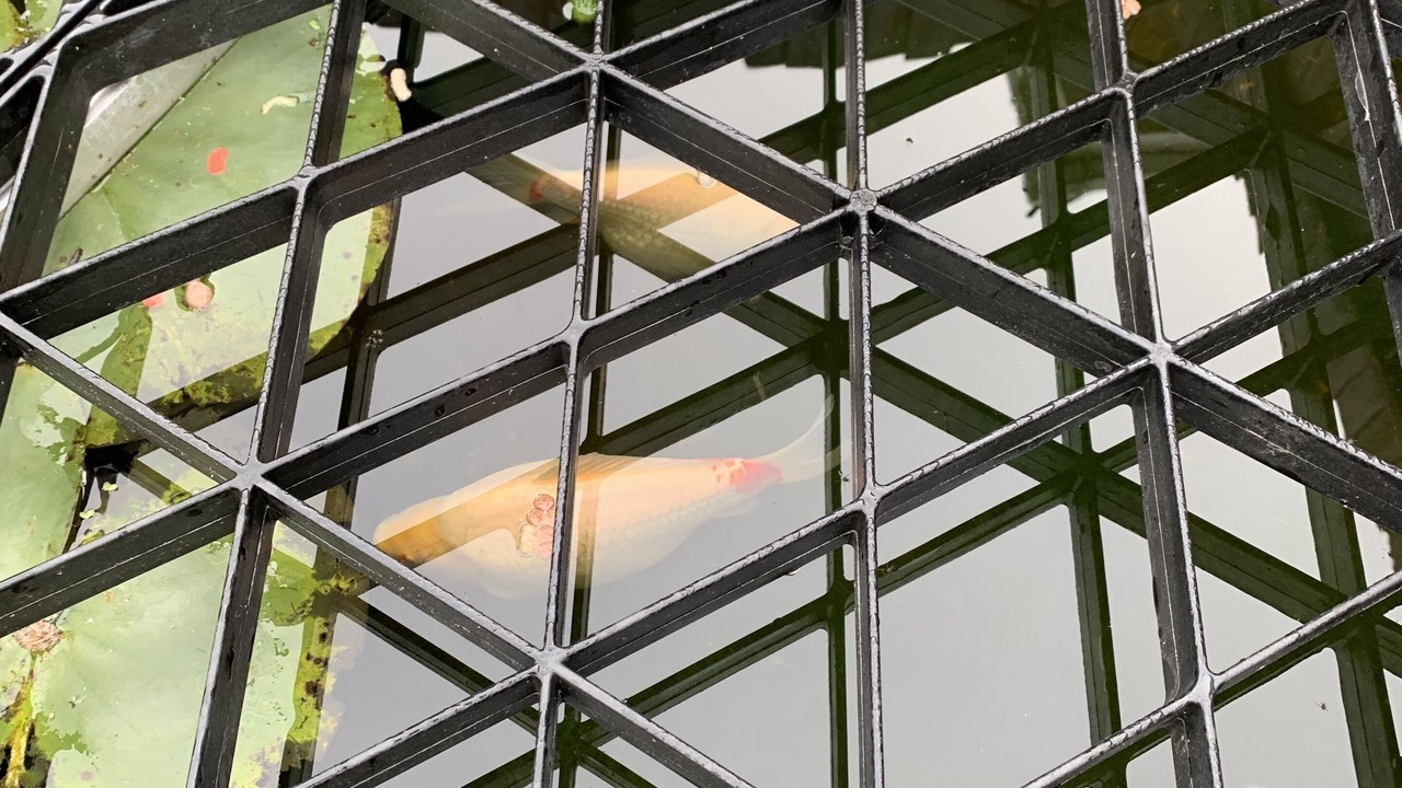 Photo of Others in Framlingham