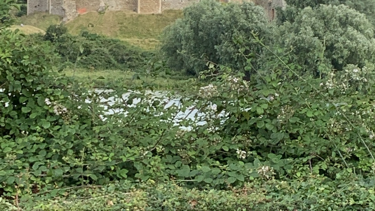 Photo of Outdoor in Framlingham