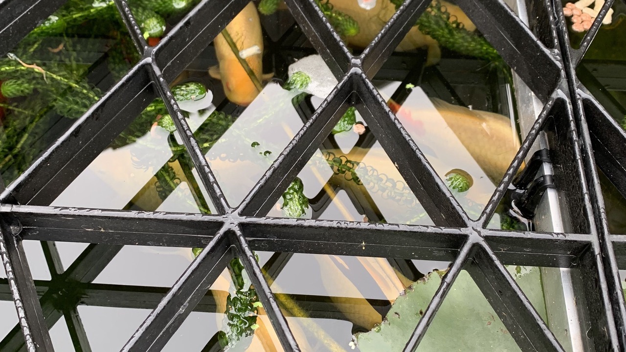 Photo of Others in Framlingham