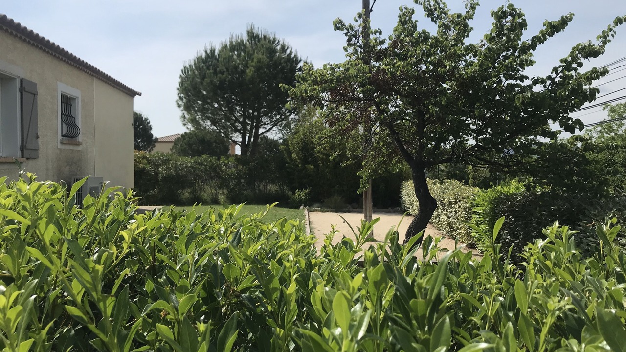 Photo of Outdoor in Langlade