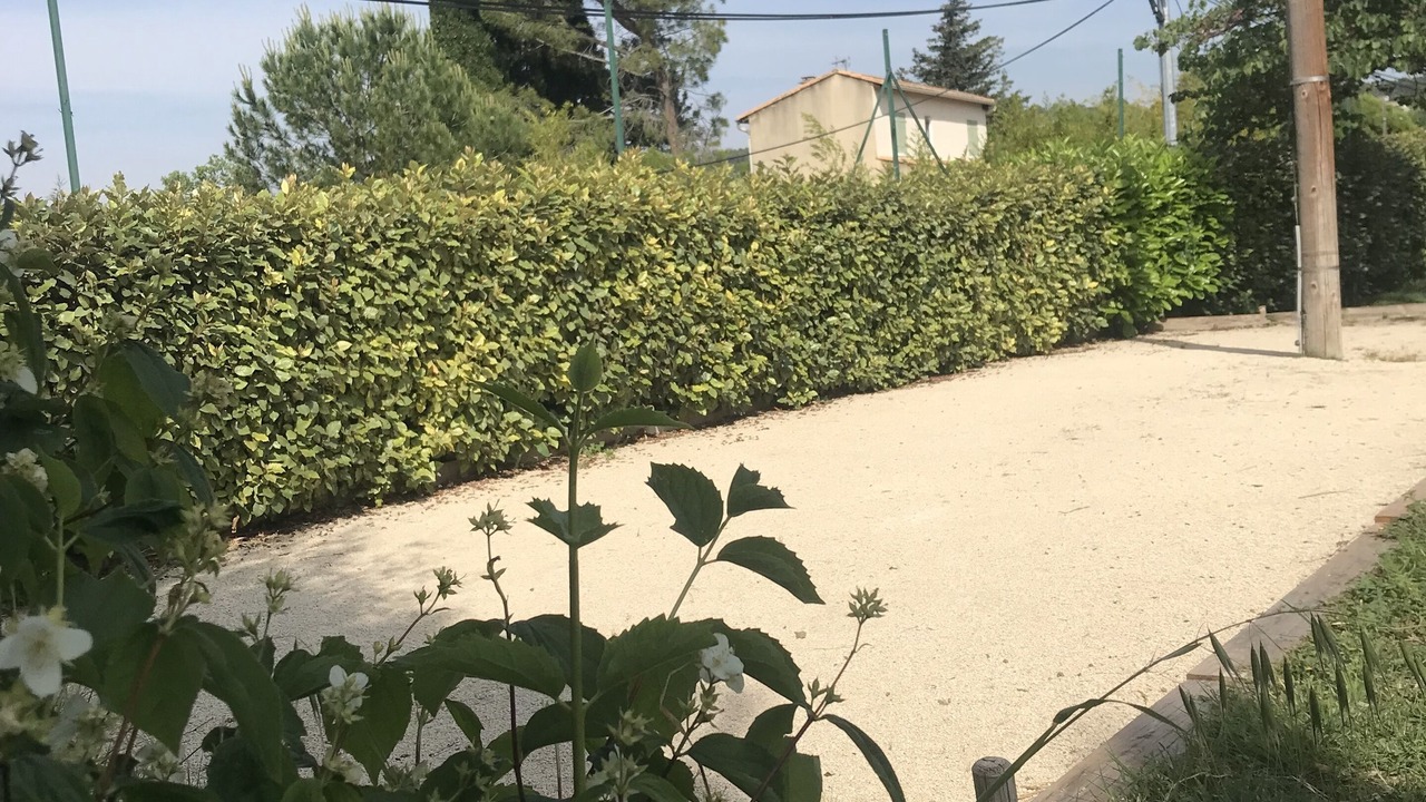 Photo of Outdoor in Langlade