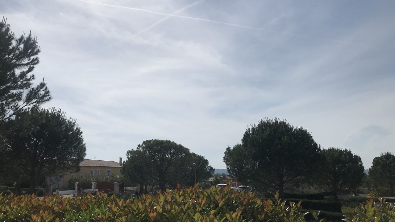 Photo of Outdoor in Langlade