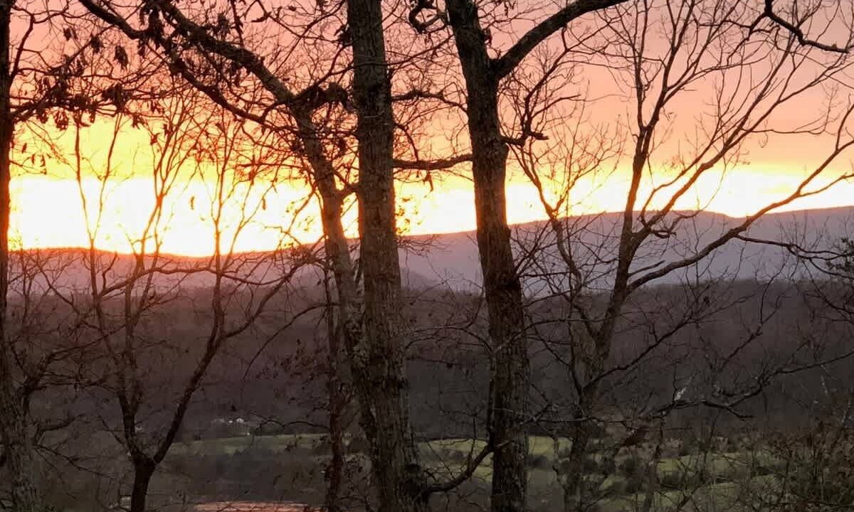 Photo of Outdoor in Bentonville