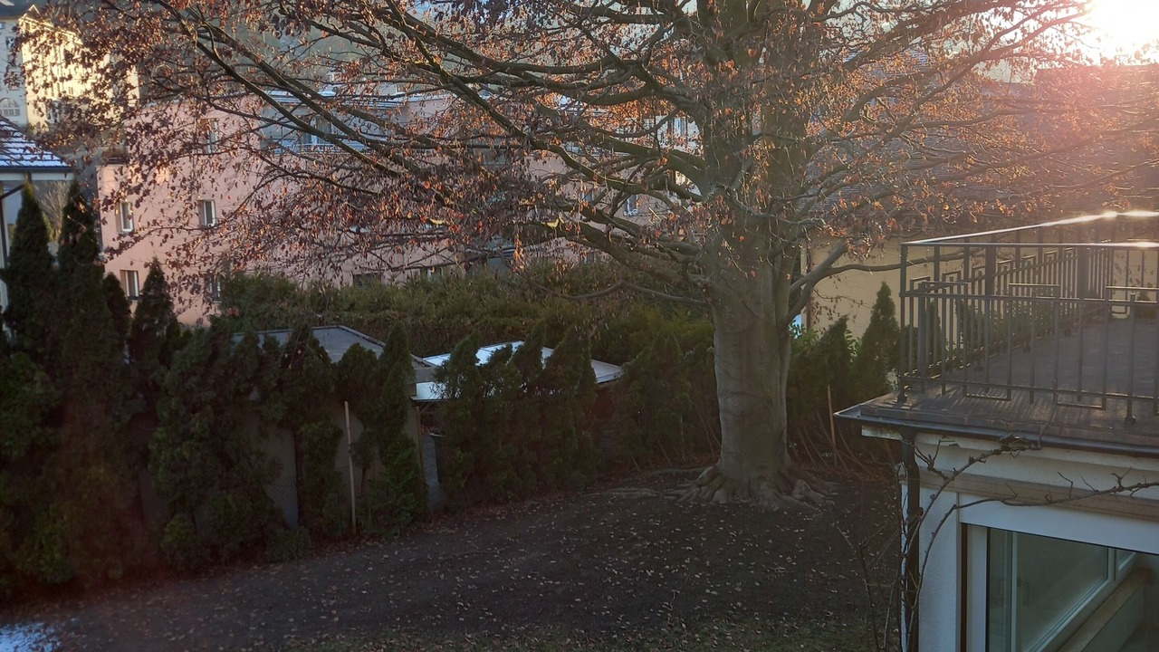 Photo of Outdoor in Central Interlaken