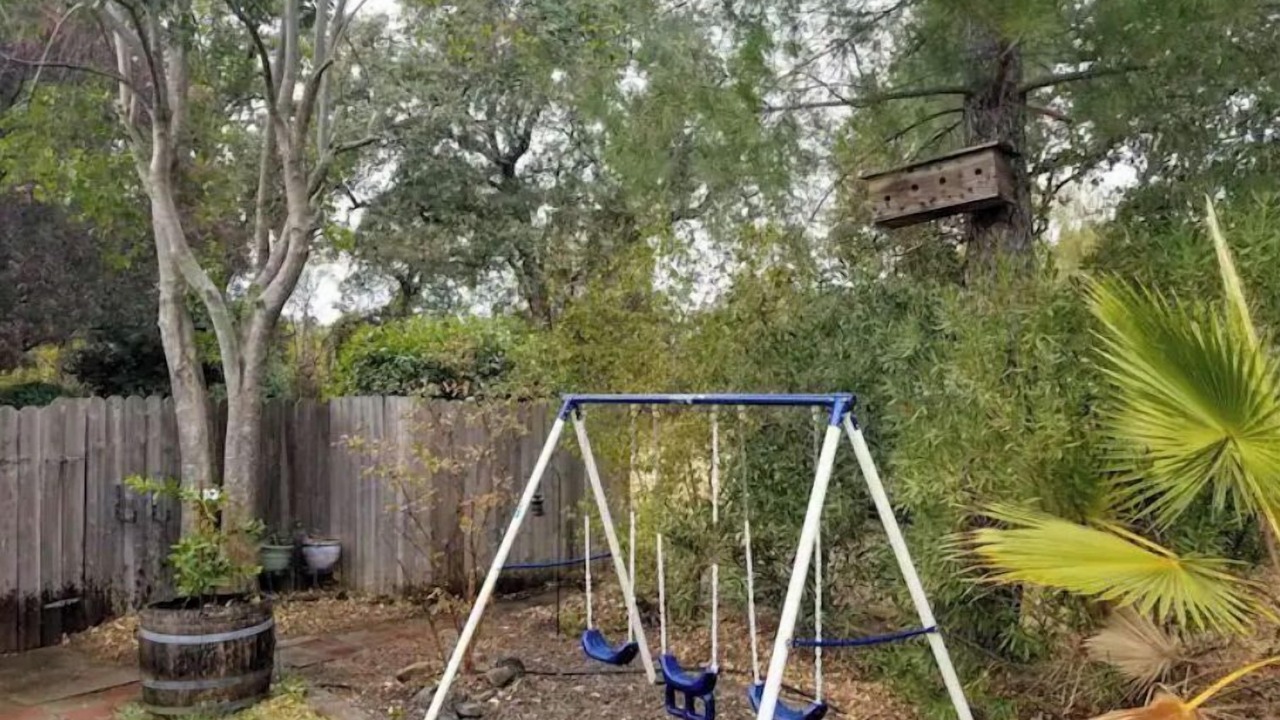 Photo of Others in Girvan