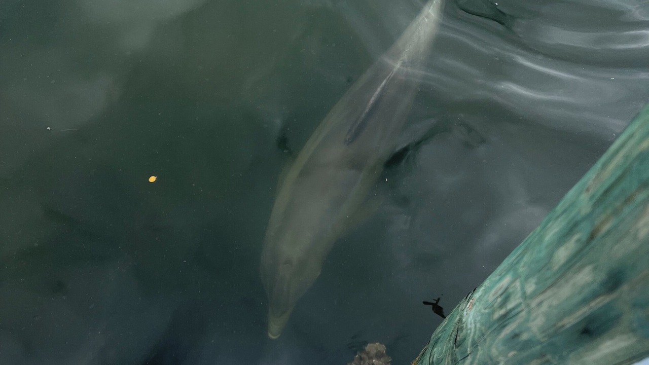 Photo of Outdoor in Pleasure Isles