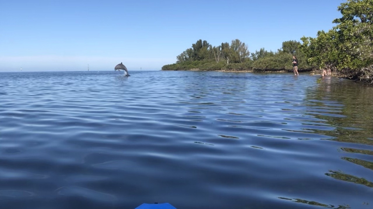 Photo of Others in Pleasure Isles