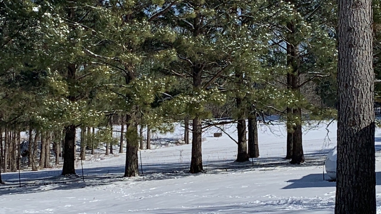 Photo of Others in Golden