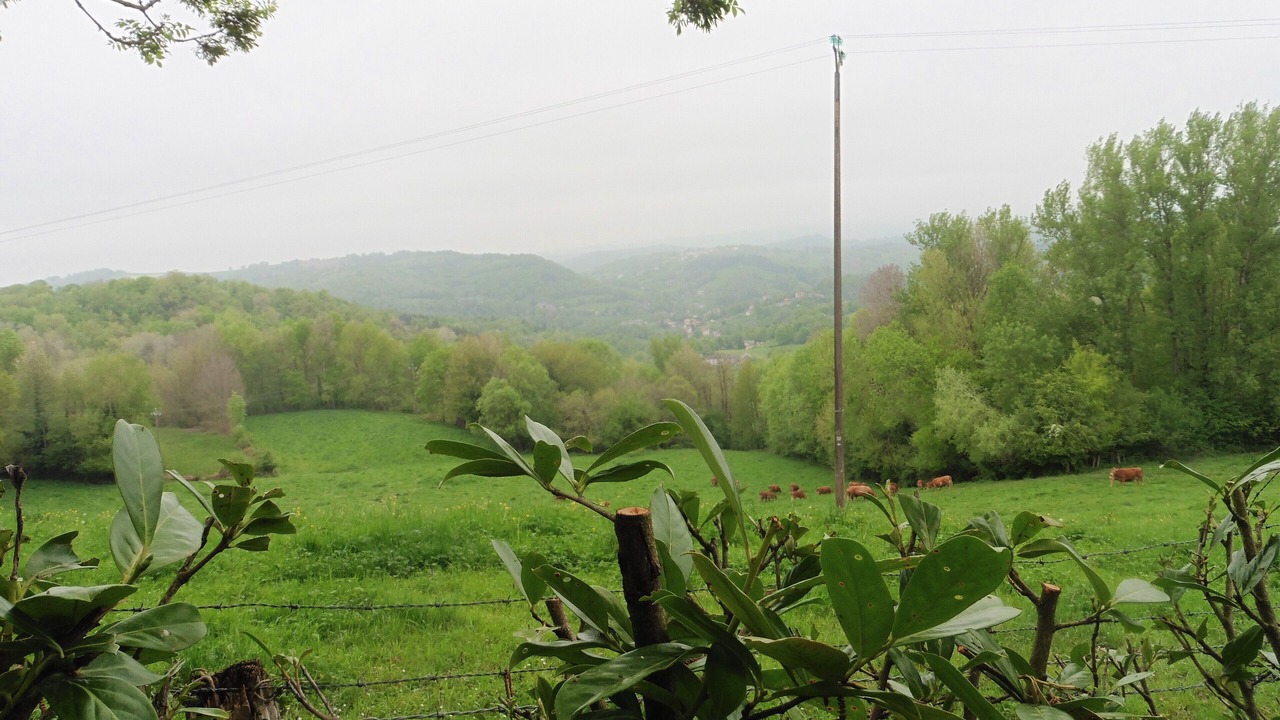 Photo of Outdoor in Lugan