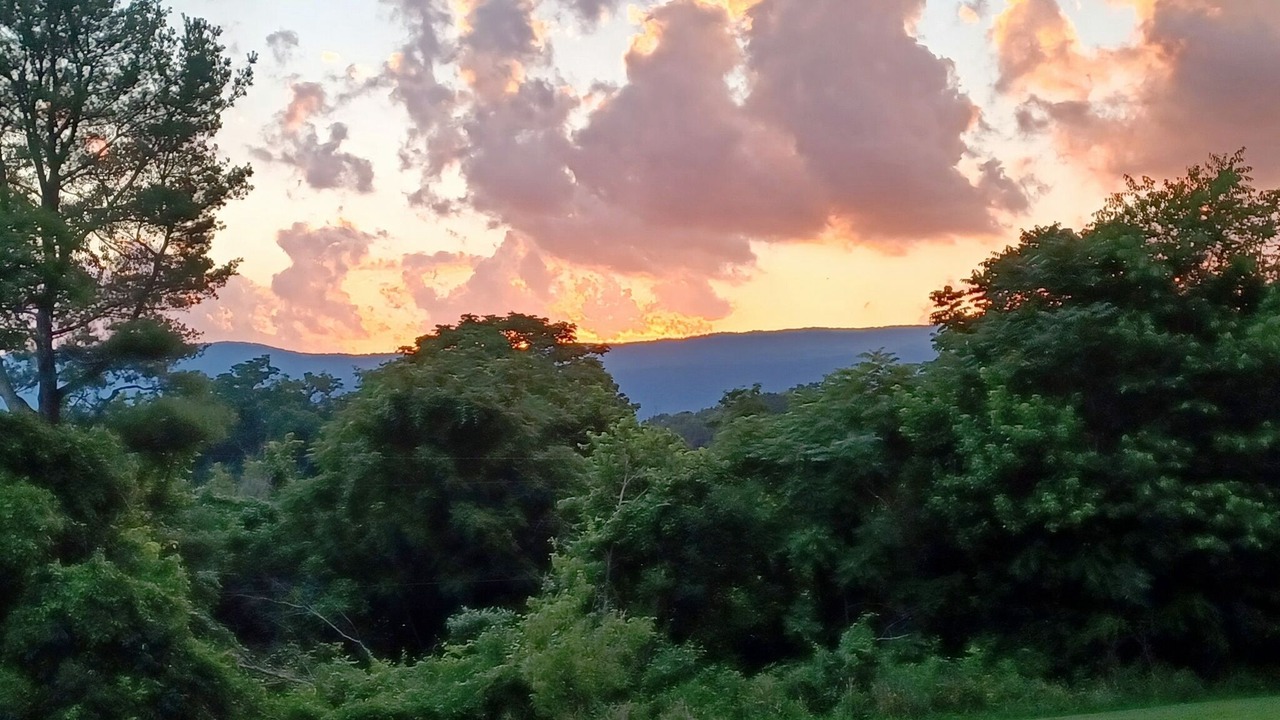Photo of Outdoor in Shenandoah
