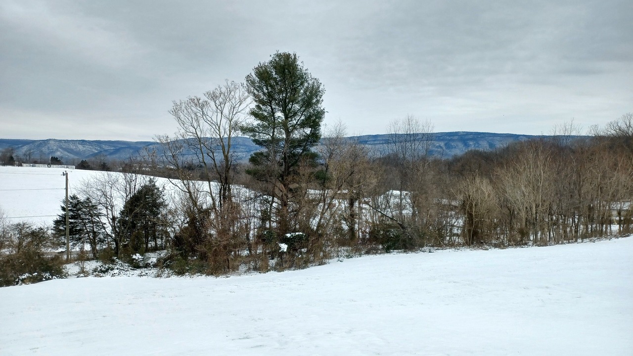 Photo of Others in Shenandoah